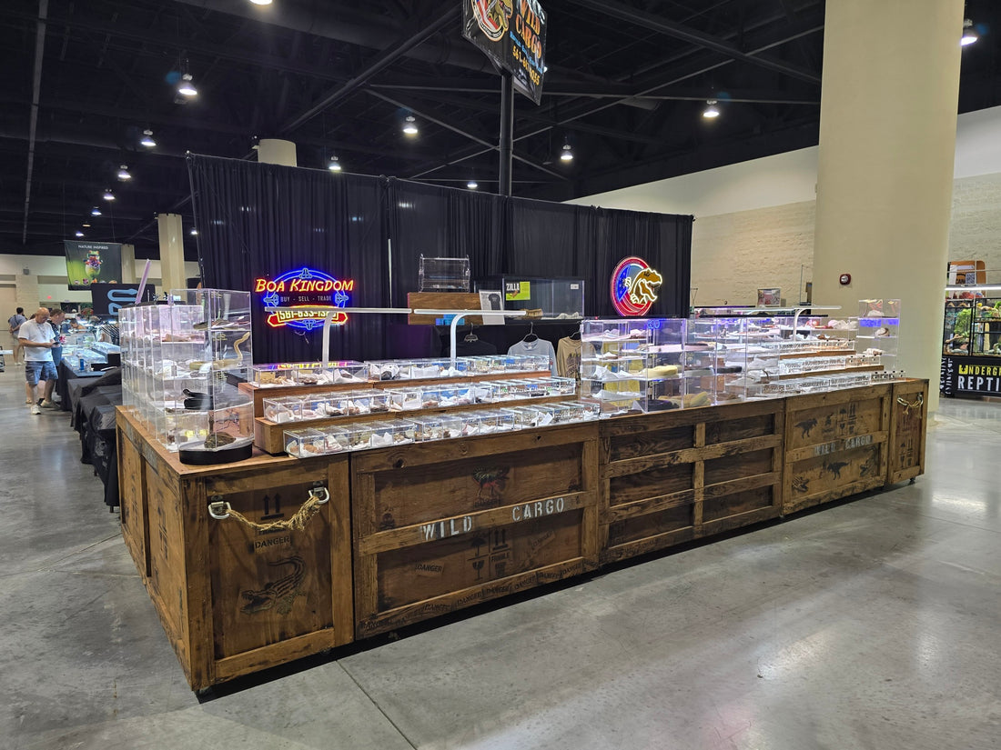 August 2024 National Reptile Breeders Expo - Daytona, FL